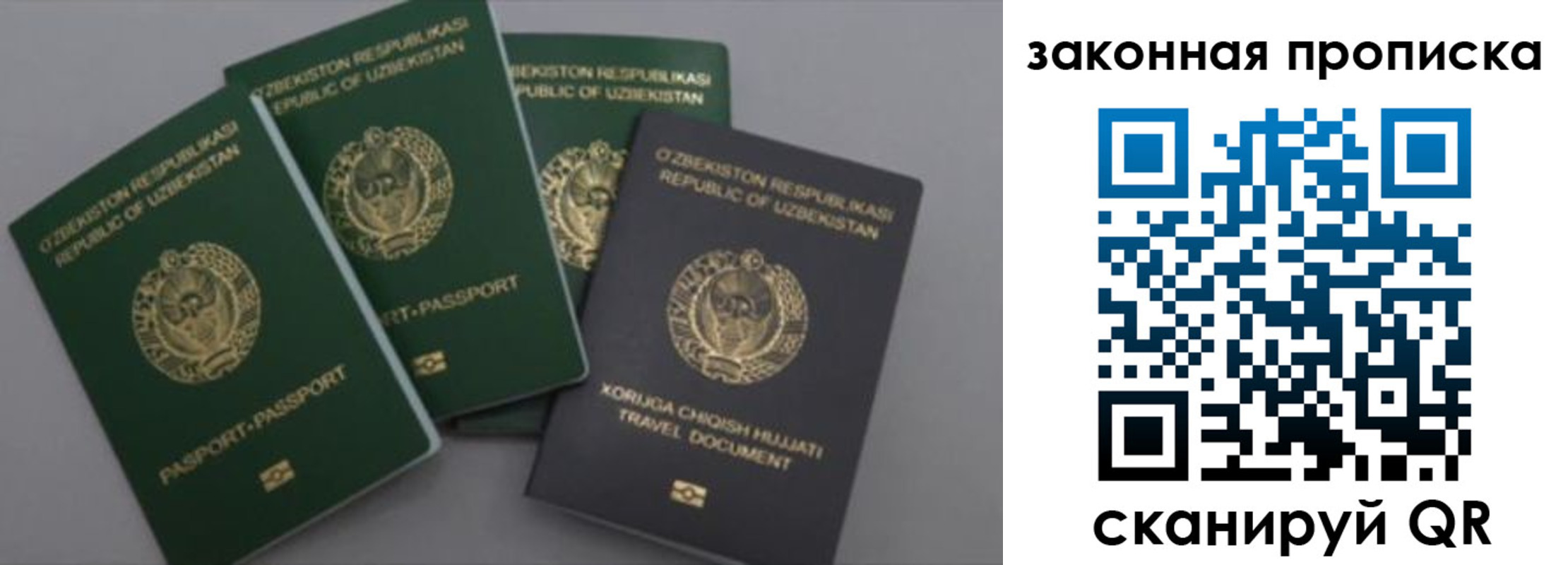 временная регистрация для школы в Александрове